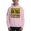 “DO NOT DISTURB MY TAXI BUSINESS” Premium Soft & Heavy Blend Hoodie - Image 28