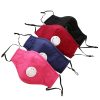 Stylish Thick Face Mask with a PM2.5 Anti-Pollution Filter - Image 5