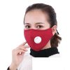 Stylish Thick Face Mask with a PM2.5 Anti-Pollution Filter - Image 10